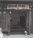 群馬県草津温泉　りゅうくん（水口みどりさん撮影 ＠中村屋旅館）.jpg