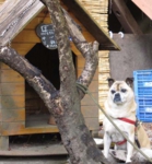 長野県中棚温泉　ちびちゃん（西村りえ撮影＠中棚荘）