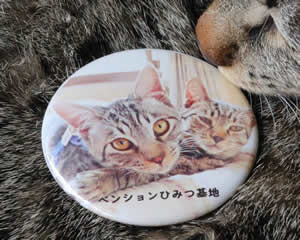 とらみちゃん＆しろたくん