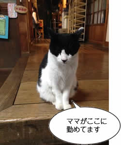 ママがここに勤めてます 宮城県川渡温泉 ブーくん(押切珠喜さん撮影@藤島旅館)