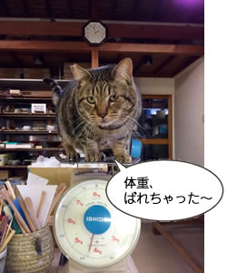 体重、ばれちゃった〜 静岡県畑毛温泉 ねぎスケくん(西村りえ撮影@大仙家「大仙窯」)
