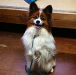 新潟県新津温泉　ハッピーくん（あや＠新潟さん撮影）